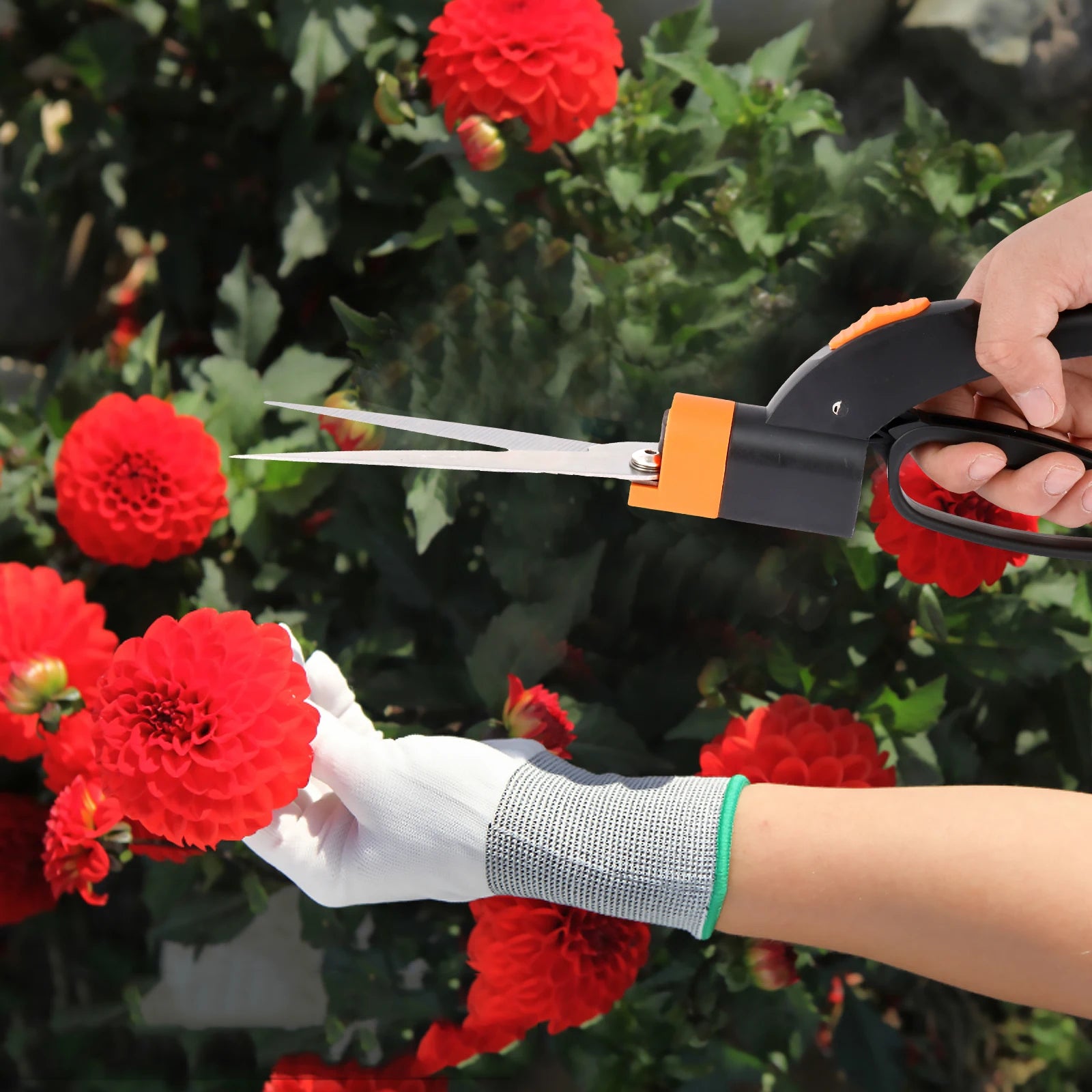 Grass Shears Multifunctional Gardening Mowers Scissors Sharp Tip Garden Shears Handheld Lawn Pruning Hedge Shears